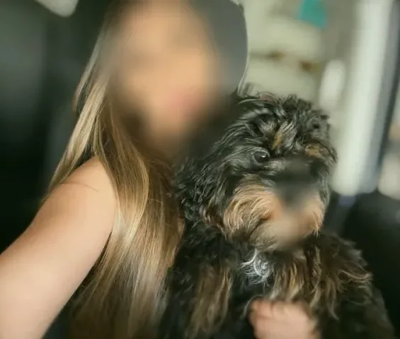 Jasmin, 33